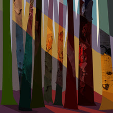 Cargar imagen en el visor de la galería, Ancient Pines – Signed Limited Edition Print

